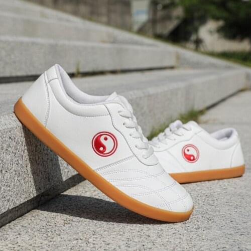 Thestron Fencing Shoes