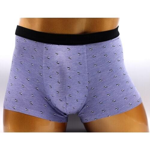 Boxer Sexy Mens Print Breathe Male Underwear Bulge Pouch Mens Boxer Shorts Underpants Panties Boxers Roupa Interior Dos Homens