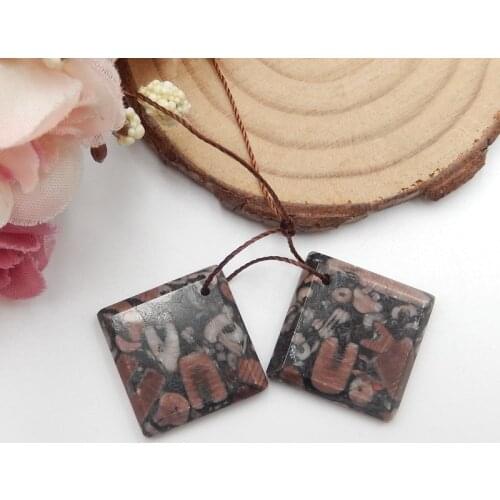 Selling! Natural Crinoid fashion Semi-precious stones, Jewelry accessories women Earrings Bead20x4mm 7.2g