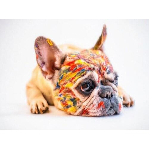 5d Diamond Painting shar pei dog Diy Diamond Embroidery sale full square round drill Mosaic wedding decoration sticker