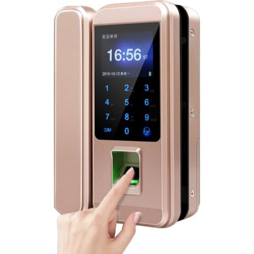 Sell Well Smart Home Single/Double Door Password Lock Smart Card Fingerprint Recognition Access Control Lock Battery Post Free
