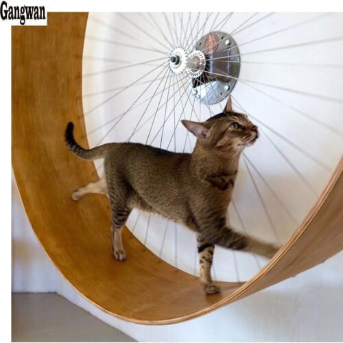 5d diy diamond painting Mosaic Cat turn wheel cross stitch Diamond embroidery cute kitten Home Decoration Rhinestone pet animals