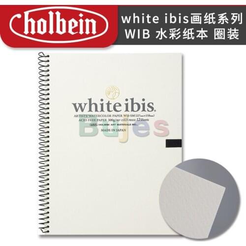 Holbein White Ibis Sketch Paper, Medium Grain (mesh)watercolor Paper,12 Pieces,Excellent Color Rendering,Indoor Painting