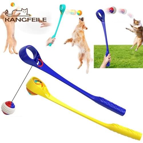 Dog Toys Kangfeile China