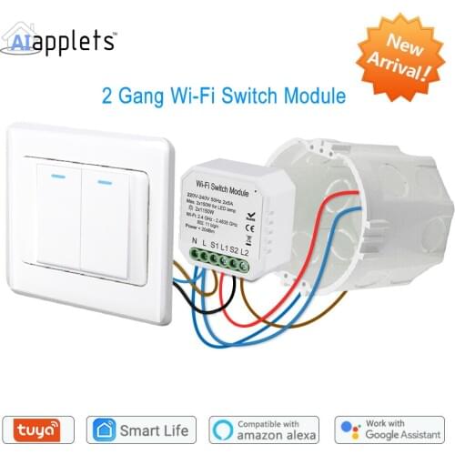 Tuya Wifi Switch 2 Gang Relay Breaker Module DIY Light Smart Timer Switch Google Home Alexa Echo Smart Life App Remote Control