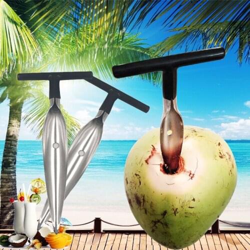 1pcs Coconut Opener Tool Stainless Steel Coconut Opener Driller Cut Hole Tool Fruit Openers Tools Durable Kitchen Accessaries