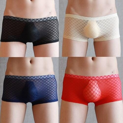 New Style Sexy Mens Underwear Boxers 4Pcs/Lot Transparent Mesh See Through Erotic Underpants Men Breathable Underwear