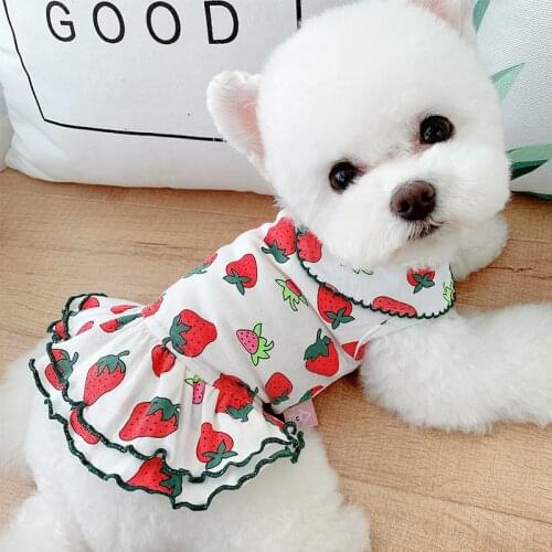 Dog Clothing T-shirt Dress Summer Cat Puppy Yorkshire Pomeranian Costume Bichon Poodle Schnauzer Maltese Dog Clothes XXS
