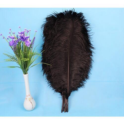 Wholesale 50 PCS beautiful 45-50 cm / 18 to 20 inches of black wedding feather ostrich feathers