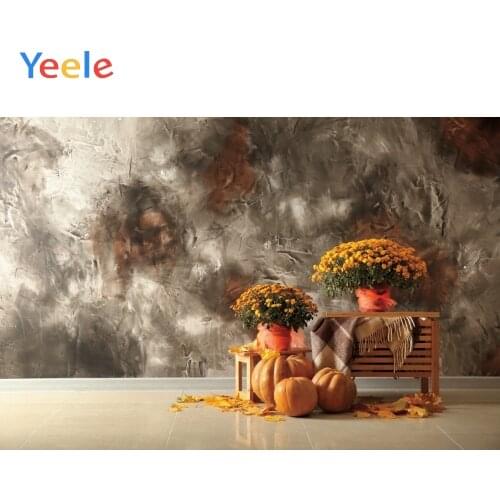 Autumn Farm Pumpkin Room Interior Grunge Wall Flower Baby Portrait Backdrop Vinyl Photography Background For Photo Studio Shoot