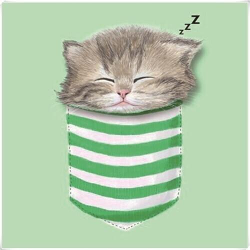 30x30cmSock Cat Diy Diamond Painting Circular Knitting Needles Diamond Cross Stitch Free Shipping Diamond Embroidery Lovely Cat2