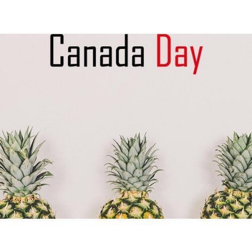 Celebrate Canada Day Blessing Festival Holiday Gala Celebration Words Removable Wall Sticker Art Decals Wallpaper for Room Decal