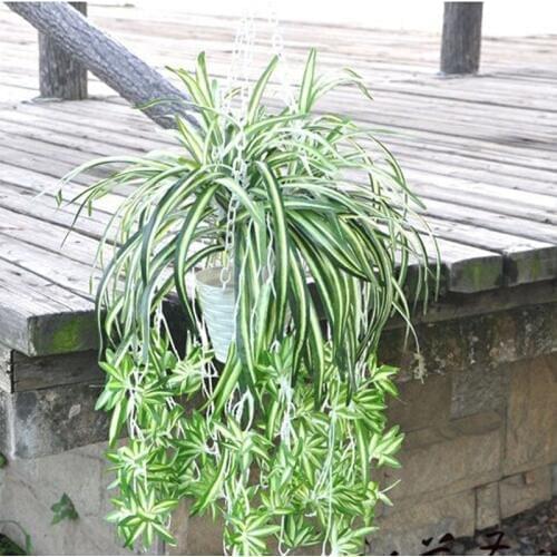 3 Heads Artificial Flower Bracketplant Chlorophytum Orchids Rattan Wall Flower Silk Flower Artificial Plant Home Decor
