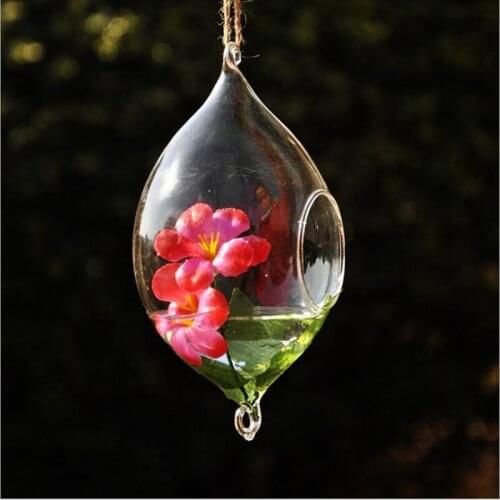 8pcs/pack 9*19cm Creative Two Hocks Hanging Glass Vase Home Decorative Cone Shaped Terrarium Friend Favor Gift Wedding Prop