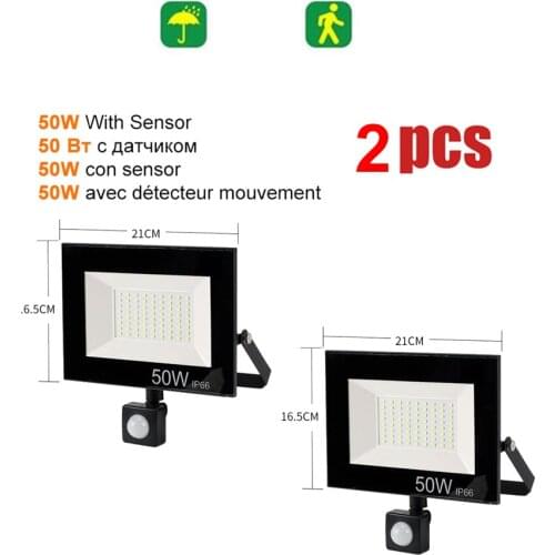2 pcs 220V 10-100W LED FloodLight Spotlight Exterior Street wall reflector LED light PIR Motion Sensor night lamp LED Garden Lig