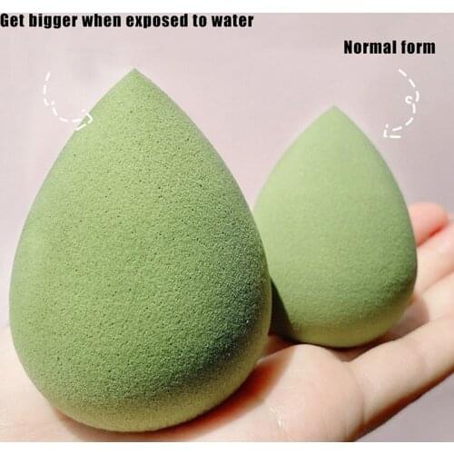 Manooby Sponges