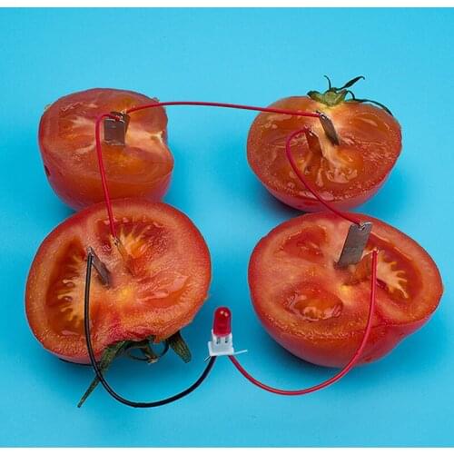 1 Set Children Bio Energy Science Kit Potato Fruit Supply Electricity Experiment