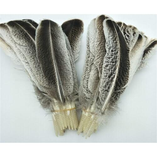 Eagle Feathers For Crafts Natural Color Discount Wholesale DIY Jewelry Decoration Collection Purification Energy Feathers plumes
