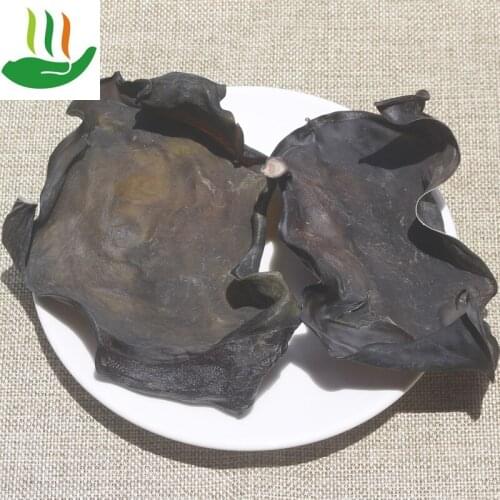 Kelp Head Dried, No Sand Kelp, Thick, Dried Seafood