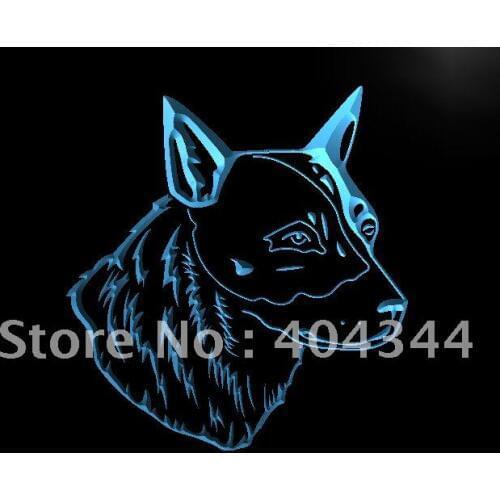LK255- Australian Cattle Dog LED Neon Light Sign home decor crafts