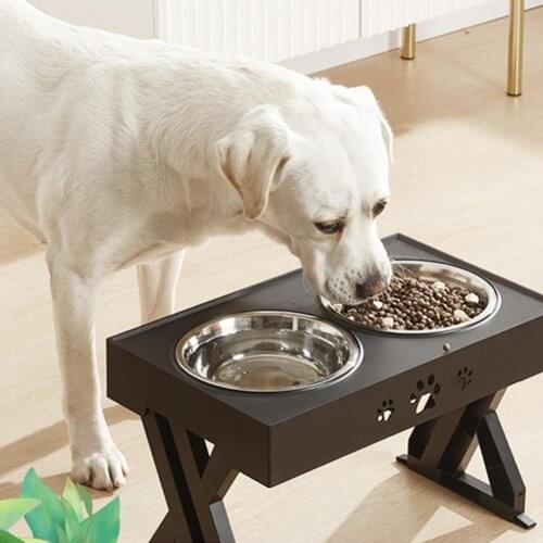 2 In 1 Feeding Bowl Stainless Steel Anti-overturning High-footed Adjustable Height Pet Double Dish Feeder Dog Bowl