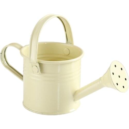 Garden Pots Planters Sprinkling Can Watering Bottle Iron With Handle 7.5x7.3cm Blue Portable Water Sprayer