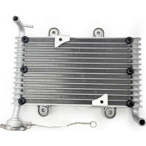 New Cooling Radiator fit for Bashan 200cc 250cc BS200 BS200S-7 ATV Quad Parts