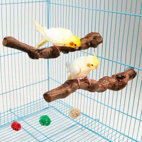 Pet Parrot Bird Standing Stick Wild Wood Pole Bird Cockatiel Parakeet Perches Bite Claw Grinding Toy Bird Cage Accessories