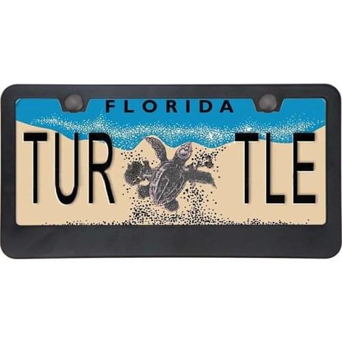 License Plate Holder for Car License Plate Universal Stainless Steel License Plate Frame Suitable for U.S. Regulations