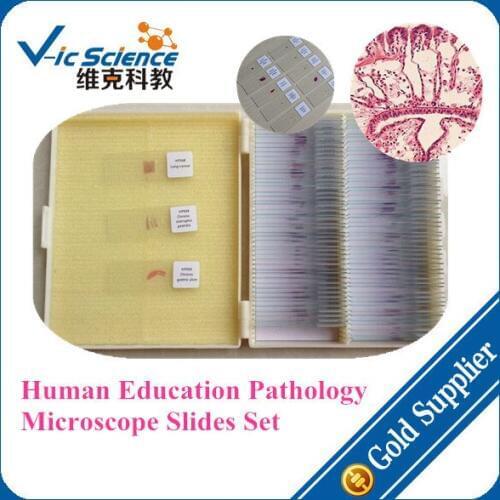 200pcs Human Education Pathology Microscope Slides Set