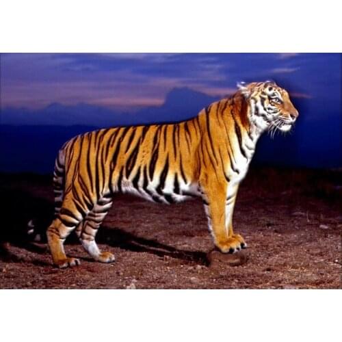 TIGER METAL TIN SIGN,Metal Tin Sign Decor Bar Pub Home Retro Poster Cafe Art