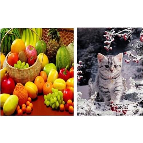 5D Diy Diamond Painting Fruit Scenery Cross Stitch & DIY Diamond Painting Kit Full Drill For Adult/Kid, Snow Kitten