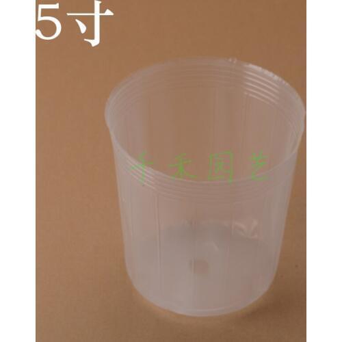 Dendrobium flower pots nutrition bowl nursery bags 5-inch transparent Nursery Cup