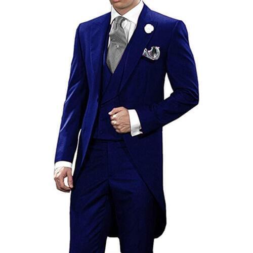 Auriparus flaviceps Blue Handsome Tailcoat 3 Pieces Morning Suits Groom Tuxedos Groomsman Suit Custom Made Man Suit