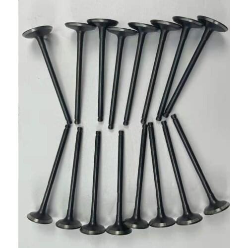 Intake Exhaust Valve for XiaLi Weizhi V5