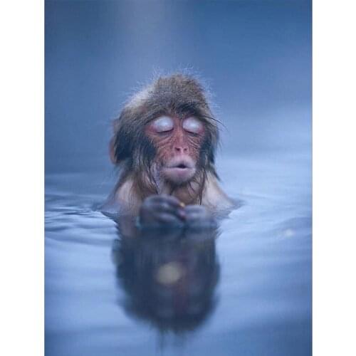 5D DIY Diamond Painting Monkey in hot spring Full Square Diamond Embroidery Picture Of Rhinestones Diamond Mosaic Home Decor