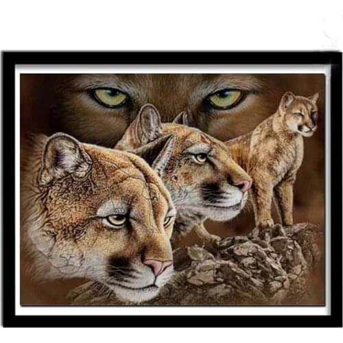 5D Diy Diamond Painting Accessories Panther Leopard Full Square Round Picture of Rhinestones Mosaic Wedding Decoration