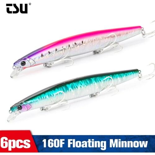 TSURINOYA 160F Long Casting Floating Minnow 6pc STINGER DW110 160mm 31g Sea Fishing Large Lure Piura Saltwater Seabass Hard Bait