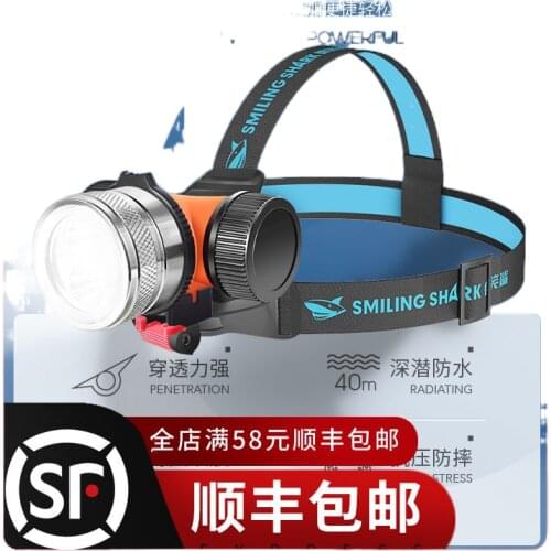 Diving headlight glare rechargeable flashlight head mounted waterproof dedicated night dive underwater bright lights