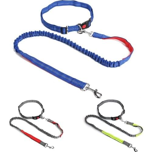 Hands Free Dog Leash, Retractable Dog Running Leash, Elastic Bungee Dog Running Belt,Jogging Lead With Waist Belt