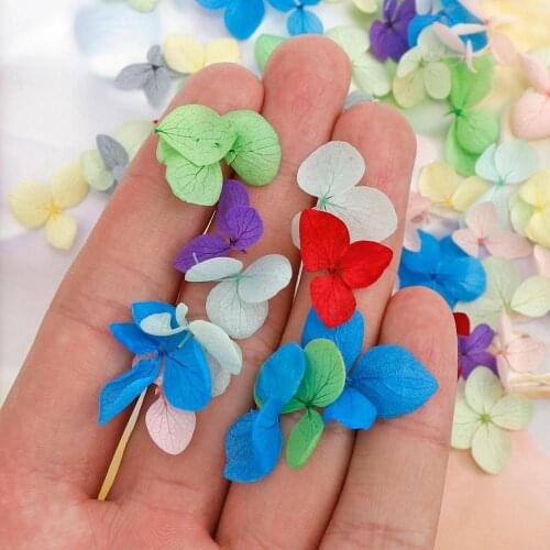 3D Dried Flowers Nail Art Decorations Natural Pressed Floral Sticker Charms Nail Designs UV Gel Polish Nails Manicure Accessorie
