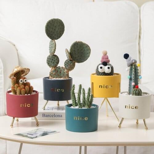 Succulent desktop flowerpot creative personality iron decoration vase ins small cute simple ceramic potted plant