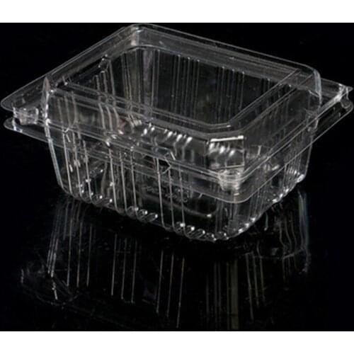 200pcs Square Disposable Fruit Vegetable Box Food Package Takeaway Plastic Fast Food Fruit Salad With Lid