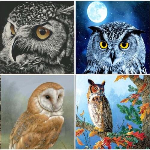 Animal Owl Embroidery 5D Diamond Painting Kits Art Resin Full Square Drill Home Decoration Mosaic Full Round Cross Stitch Gift