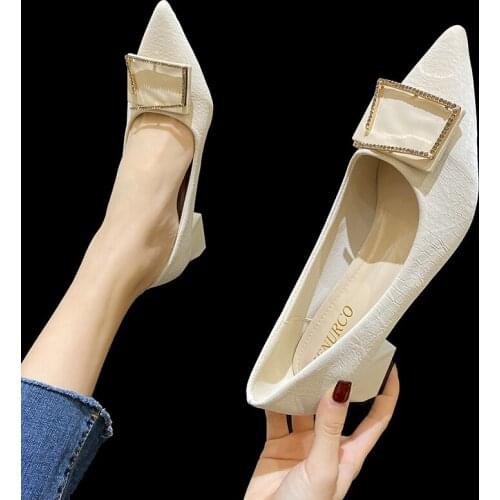 Lucyever Crystal Buckle Pumps Women Thick Square Heel Office Ladies Working Shoes Woman Elegant Velvet Pointed Toe Slip on Shoes