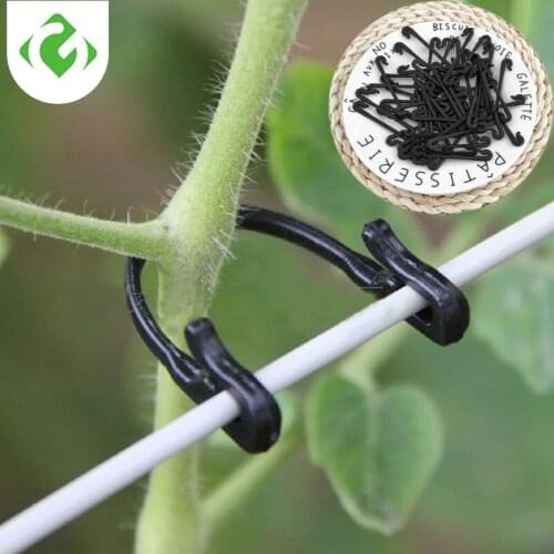 50PCS Vines Fastener Tied Clips Buckle Fixed Lashing Tool Vegetable Grafting Support Clip Garden Plant Vegetable Fixed Hook Hold