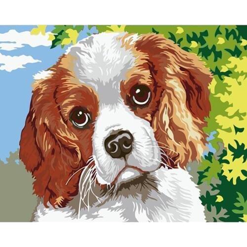 Cute Puppy Animal Oil Painting by Number Hand Painted Canvas Wall Art Picture For Living Room Decoration Wall Art 40x50cm Framed