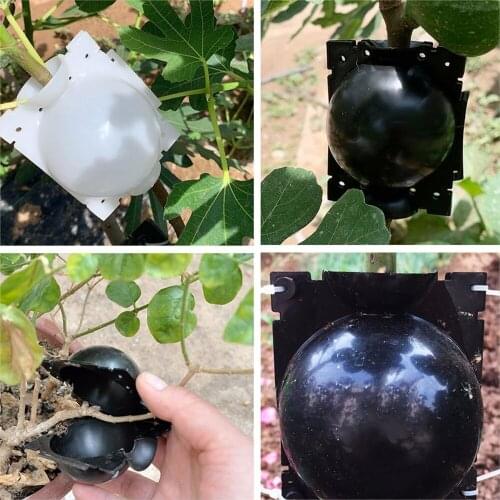 5PCS/Set Garden Plant High Pressure Breeding Box 2020 New Plant Rooting Ball Grafting Rooting Growth Box Breeding Boxes