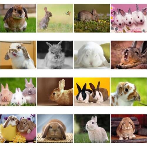 5D Diamond Painting Animals Rabbits Diamond Mosaic Bunny Diy Full Round Square Diamond Embroidery Cross Stitch Rhinestone Art