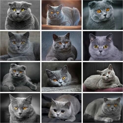 Huacan 5d Diamond Painting Cat Pet Home Decor Diamond Embroidery Mosaic Animal Cross Stitch Wall Stickers